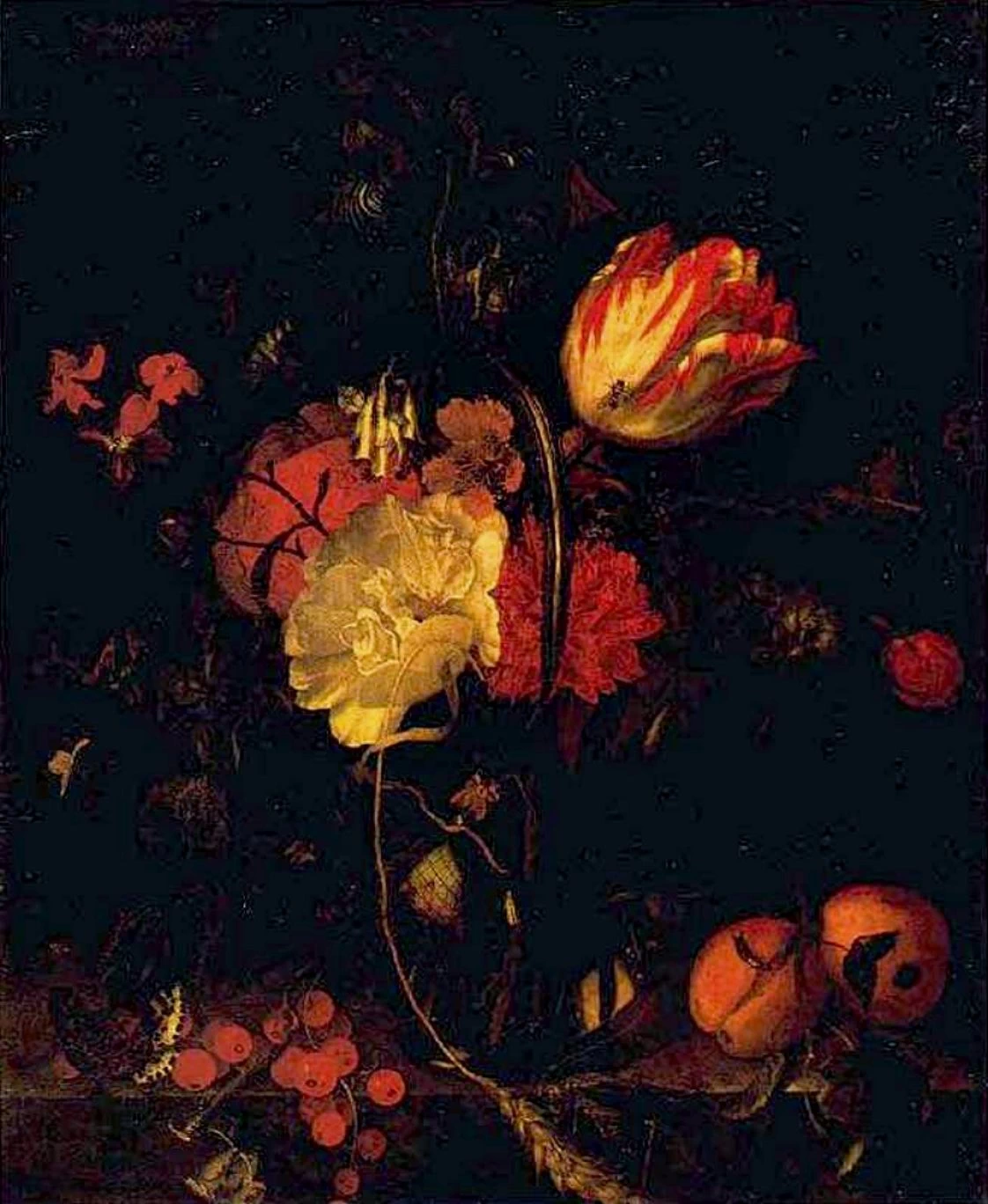 Fiori, frutti e insetti
